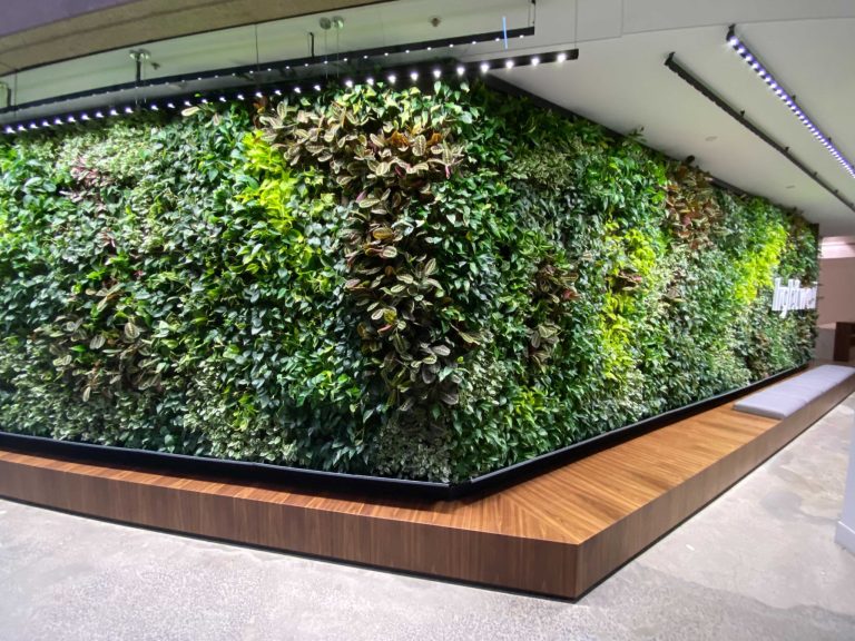 Sempergreen Walls A Green Revolution