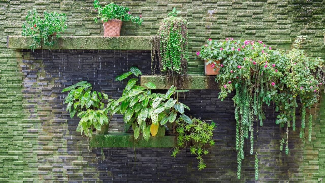 Small living wall