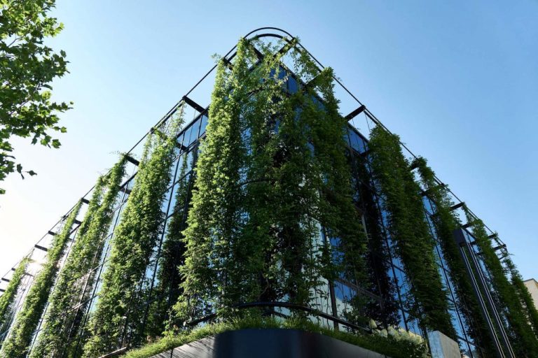 Green wall on building