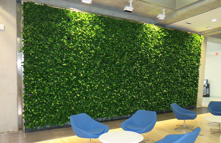 Ambius green wall