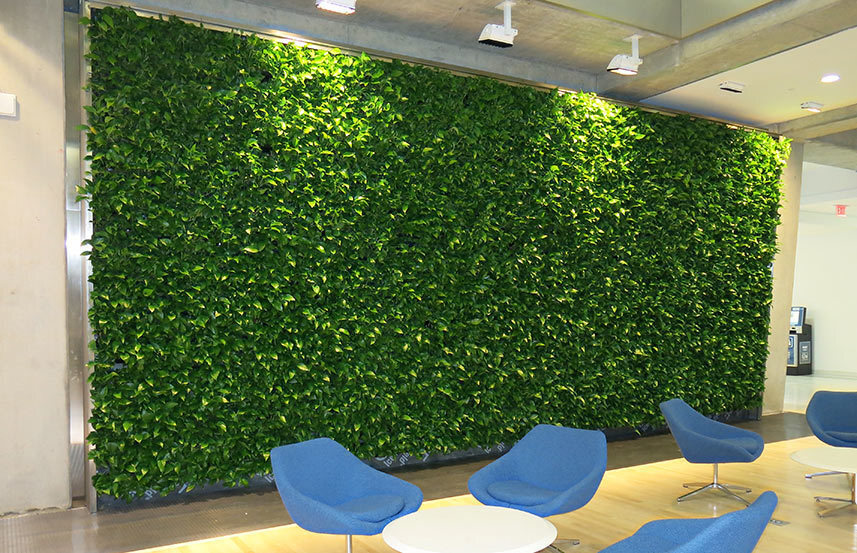 Ambius green wall