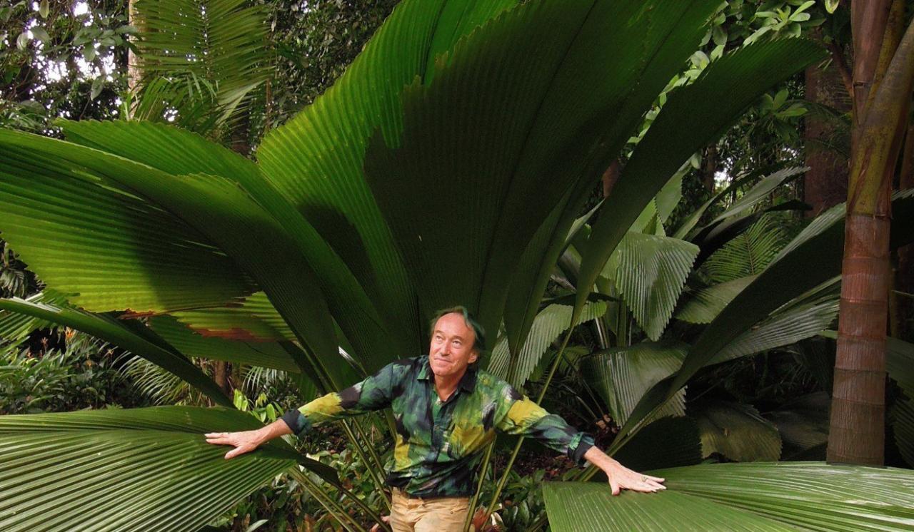 Green wall patrick blanc