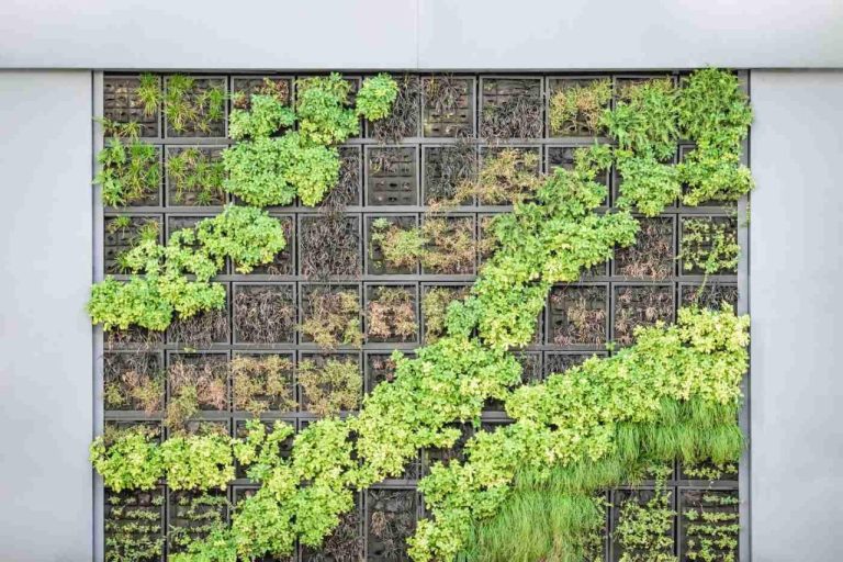 Felt living wall
