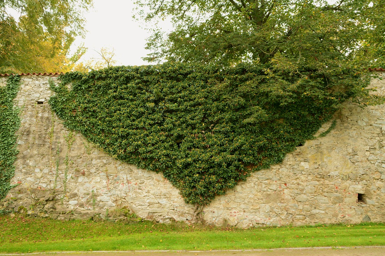 Plant wall company