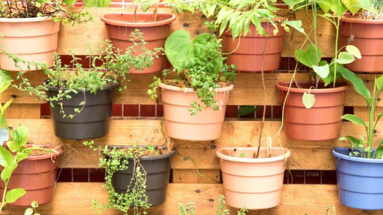 Small living wall